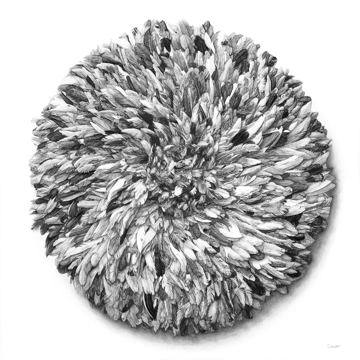 Capucine Minot, Dessin — Versailles