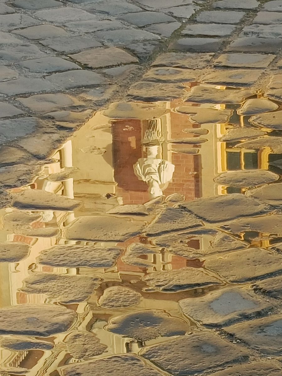Frédéric Larcena, Photographie — Versailles