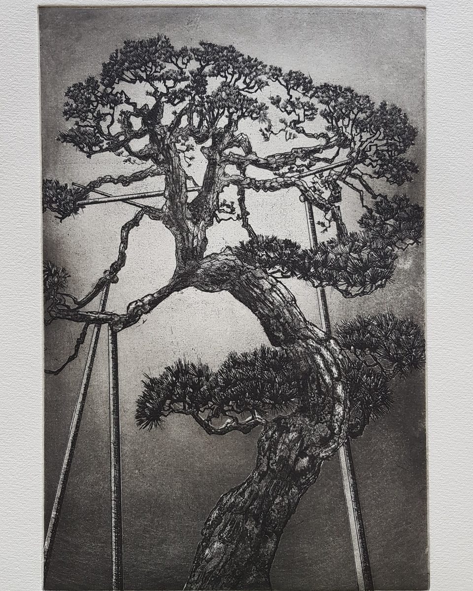 Geneviève Laborderie, Gravure — Versailles